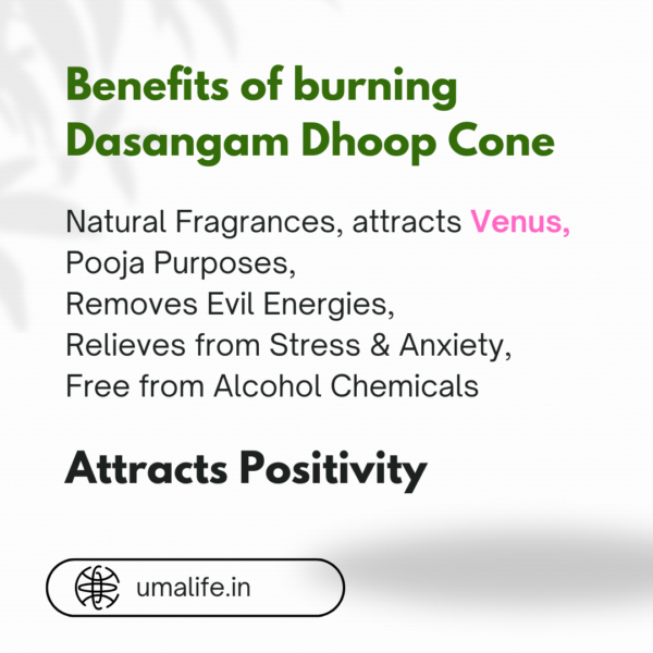 Dasangam Dhoop Cone ( Venus Attraction ) - Image 2