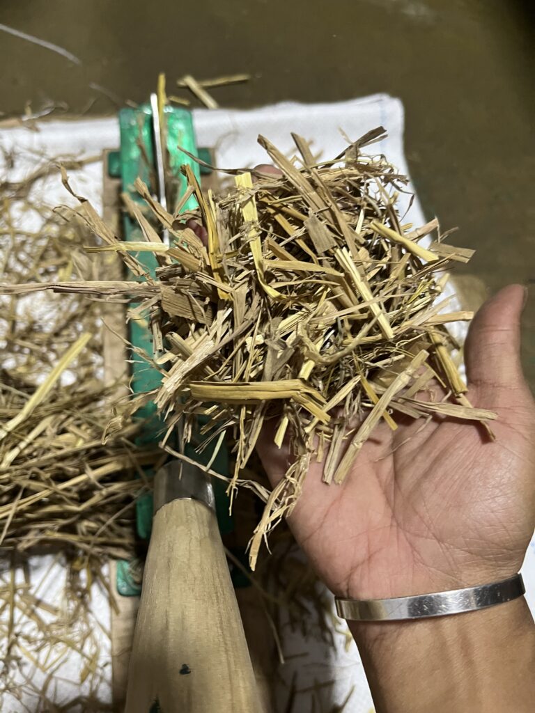 Mushroom Paddy Straw Grass Cutter for Mushroom Farming, umalife.in, Mushroom grass cutter,