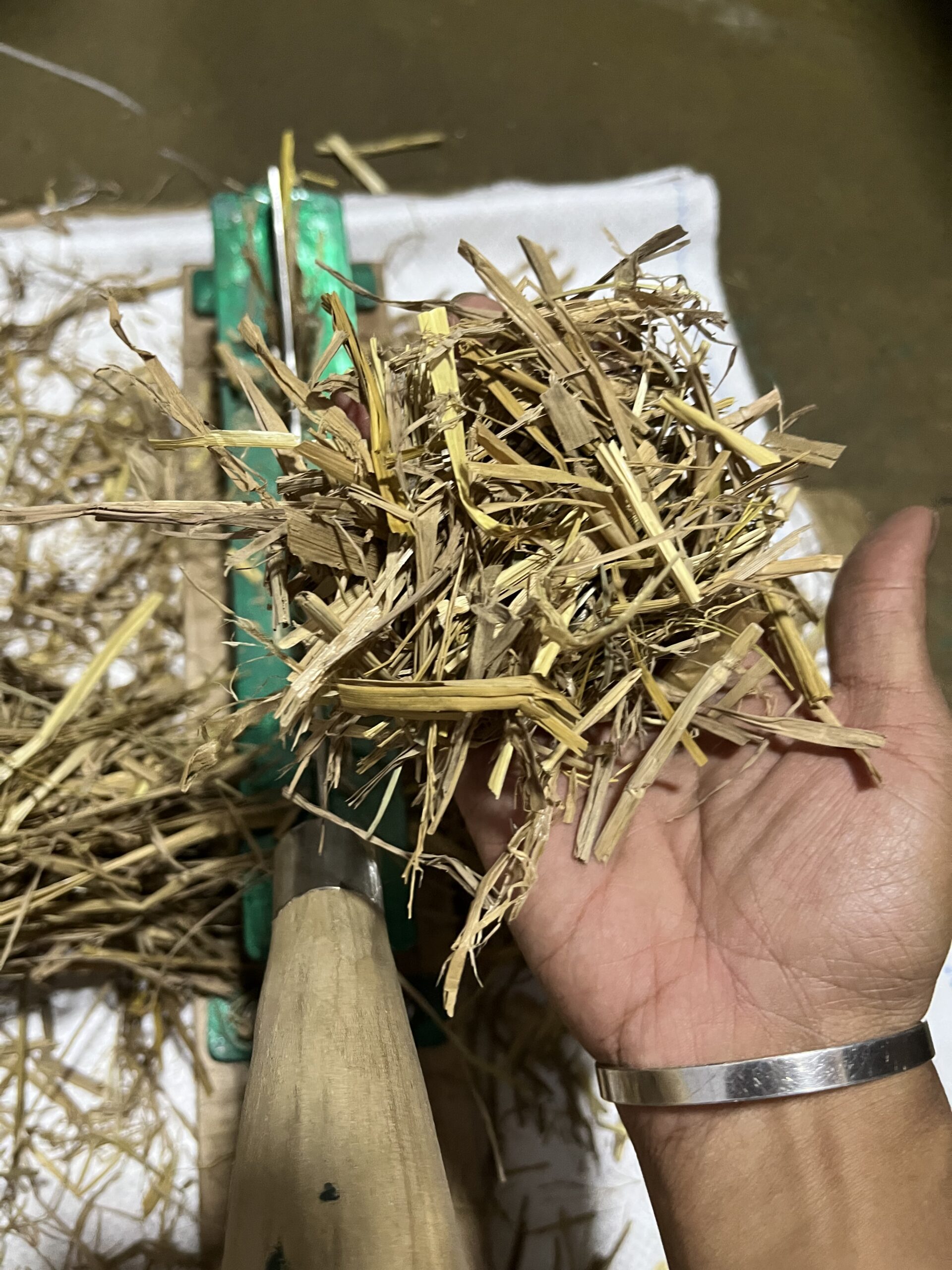 Best Paddy Straw Cutter Machine for Mushroom Growers in India